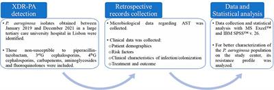 Extensively drug-resistant Pseudomonas aeruginosa: clinical features and treatment with ceftazidime/avibactam and ceftolozane/tazobactam in a tertiary care university hospital center in Portugal – A cross-sectional and retrospective observational study